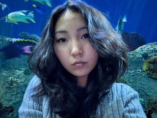 Salomeczwakiel